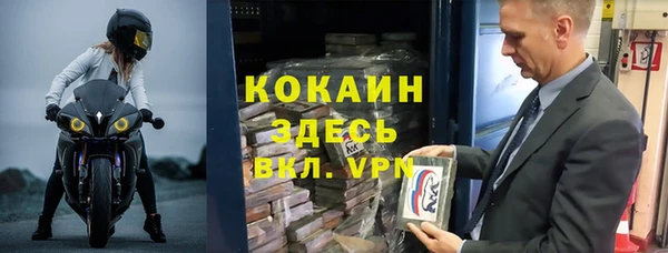прущие грибы Аркадак