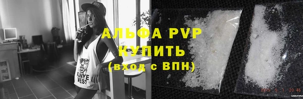 мяу мяу мука Арсеньев