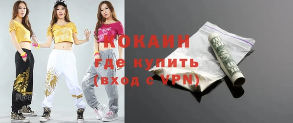 прущие грибы Аркадак