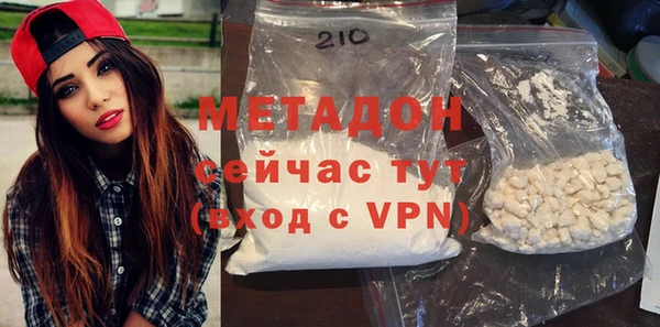 прущие грибы Аркадак