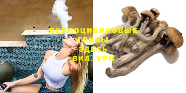 прущие грибы Аркадак