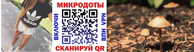 Галлюциногенные грибы Cubensis  наркошоп  МЕГА ссылки  Змеиногорск 
