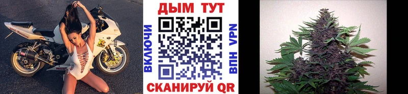 Каннабис семена  купить наркотик  Змеиногорск 